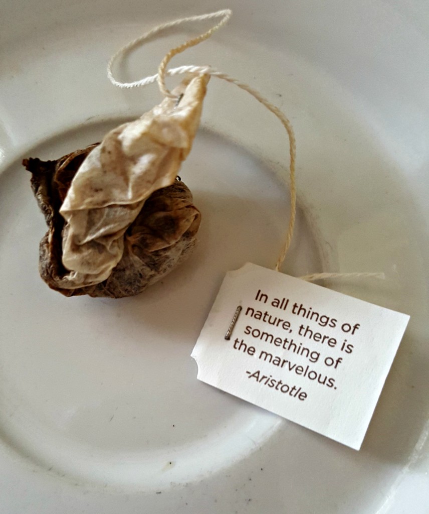teabagquote